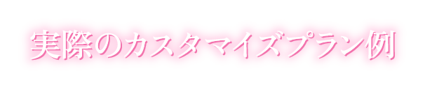 実際のカスタマイズプラン例